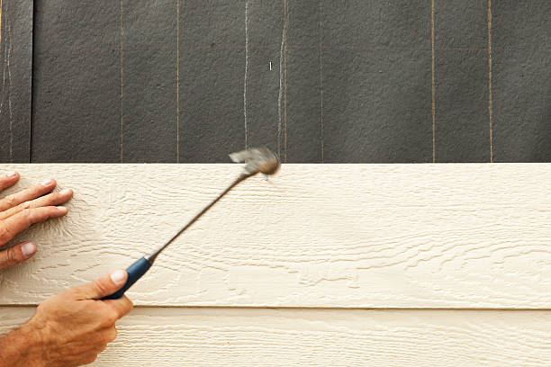 Best Insulated Siding Installation  in Wynnewood, OK